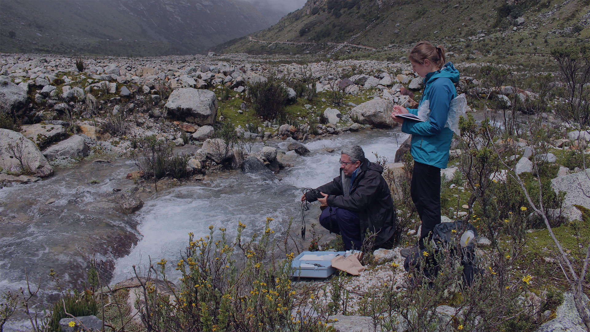 laboratorio-ecotoxicologia-medio-ambiente