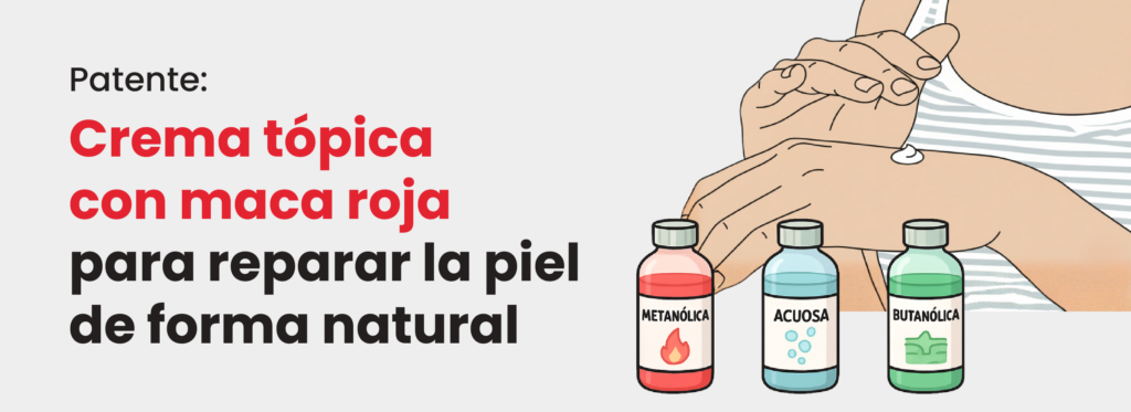 PATENTE MACA ROJA web